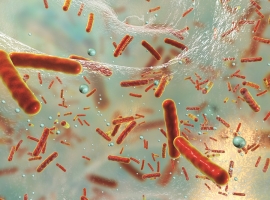 Antibiotics