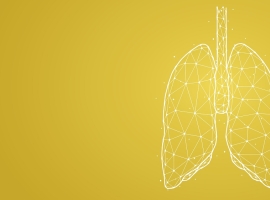 Lungs