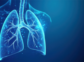 Lungs image