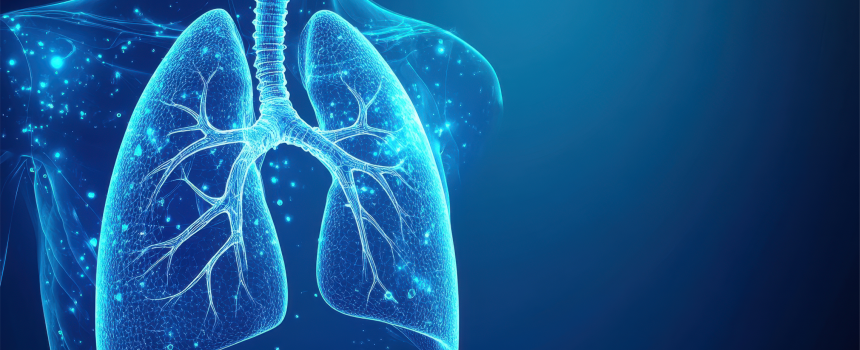 Lungs image